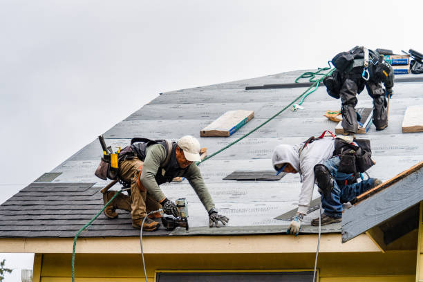 Professional Roof Replacement technician working in Meridian, NY